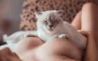 София, 8 911 948-14-30 София, 32 лет — эротический тайский массаж
